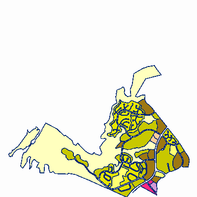 Export Image