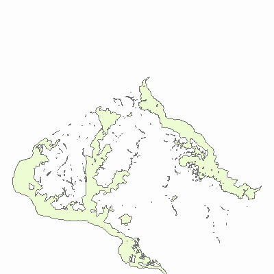 Export Image